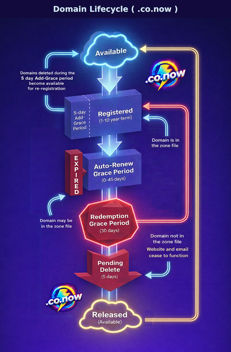 .co.now domain name lifecycle